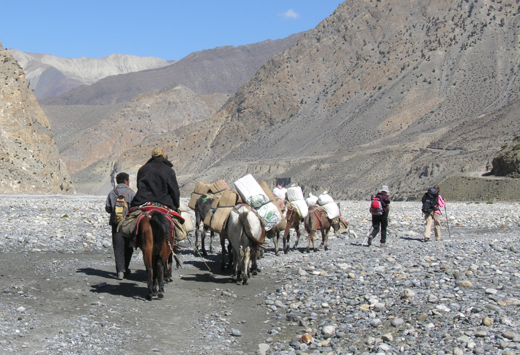 9. Carovana mercantile che attraversa una catena montuosa nel Mustang, Nepal.