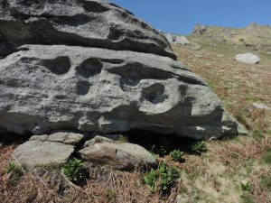 09. Tafoni su parete verticale di blocco in gneiss (metagranito) nei pressi della cascina Alpone.