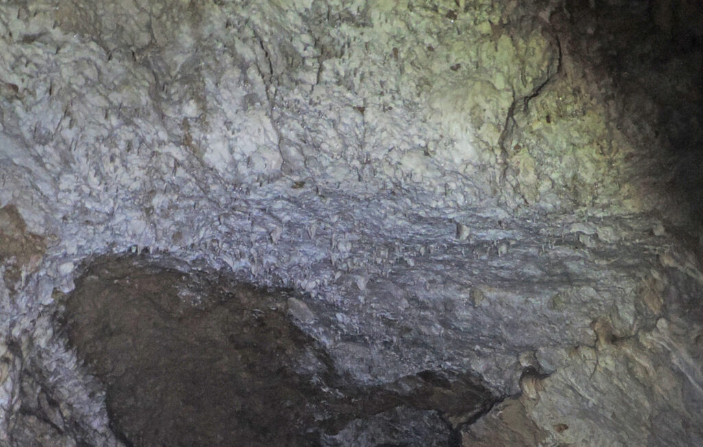 16. Come rilevato dal Gruppo Speleo Biellese, per un tratto oltre metà caverna la carniola è sostituita da un conglomerato calcareo.