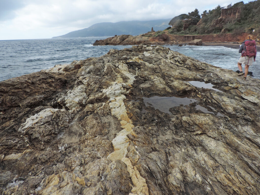 01a. Ecco le rocce più antiche dell'Isola d'Elba, probabilmente sedimenti pre-paleozoici, ora micascisti a sericite (una mica bianca molto fine). Filone granitico recente (aplite) concordante con la scistosità.