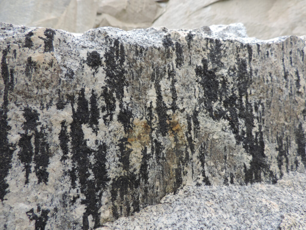 06b. Cava di San Piero. La roccia granitica del plutone è stata interessata, nelle ultime fasi della sua intrusione, da risalite di fluidi borati che hanno tappezzato le fessure di piccoli cristalli di tormalina nera.
