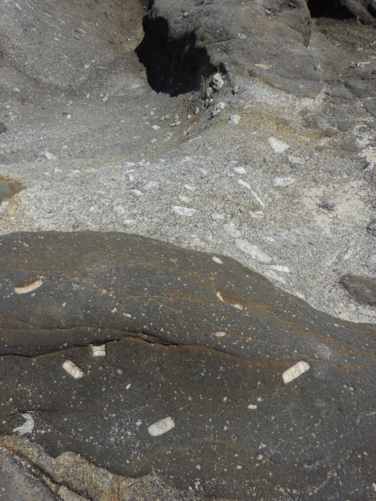 07b. Sulla superficie rocciosa si alternano distese di granodiorite chiara e nuclei di basalto nero, entrambi disseminati di grossi cristalli bianchi di feldspato potassico.