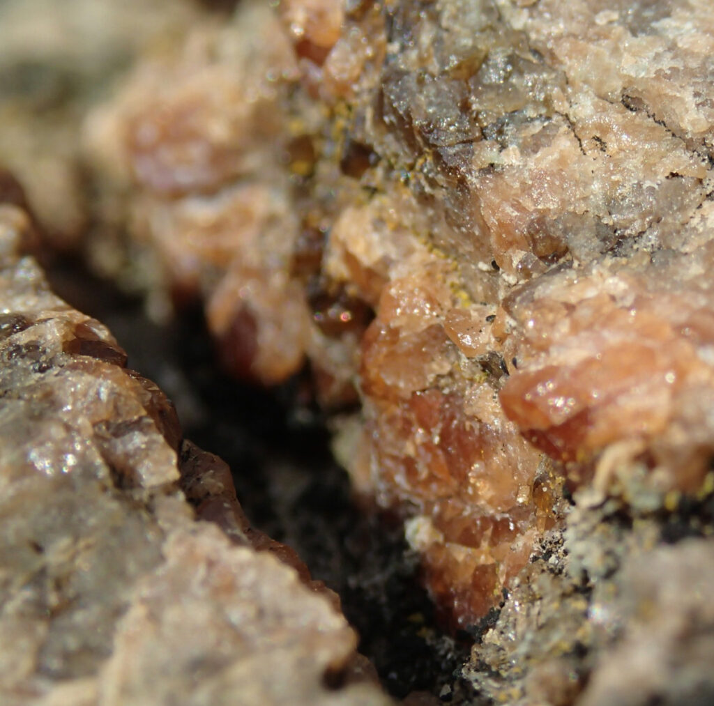 8d. Questo è granato sviluppatosi sulla roccia sedimentaria all'arrivo del filone incandescente.