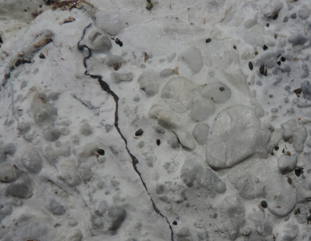 9c. Capo Norsi. Wollastonite (silicato di calcio) in noduli fibroso-raggiati, sviluppatasi in seguito al riscaldamento dei sedimenti oceanici all'avvicinamento (da sotto) del plutone granitico.