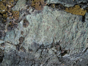 02 - La roccia eclogitica della falda oceanica profonda Zermatt-Saas: metabasite (antica roccia magmatica a composizione basaltica) a granato (rosso) e pirosseno giadeitico (verde).
