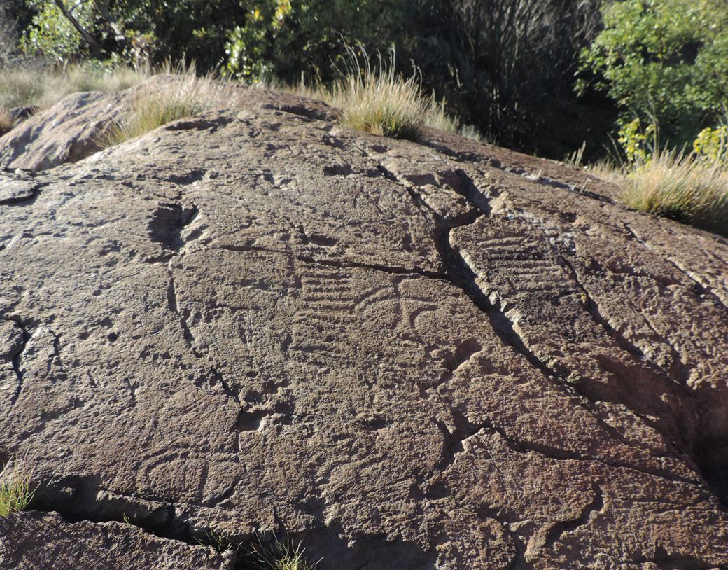 Rocce e incisioni rupestri