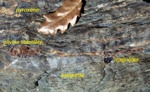 6.Minéraux océaniques et minéraux alpins dans la serpentinite du Mont Tsailleun.