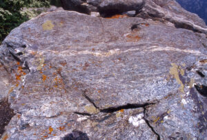 11. Un blocco di roccia a granato ed anfibolo blu, minerali formatisi a grande profondità durante la subduzione di un margine continentale.