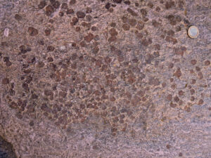 12. Grenats sur bande claire (méta-aplite) des granites permiens