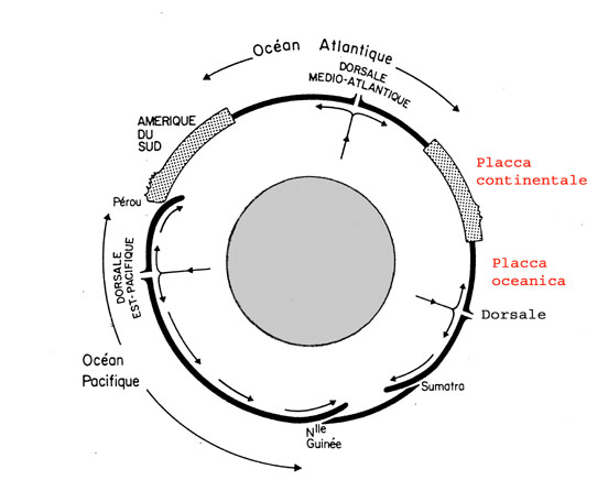 Relazioni fra le varie placche e l’astenosfera sottostante