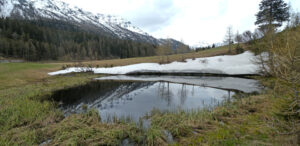 Veduta invernale del laghetto formato dal vecchio inghiottitoio. Un ruscello esce a sinistra in basso...