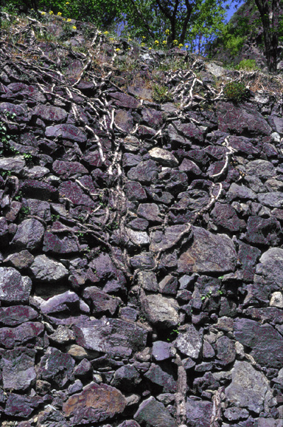 Un muro a secco del giardino ricco in eclogiti violacee