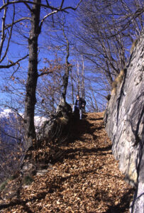 Un tratto della mulattiera delle slitte (Lou tsoumin de la iedzi de Courtil) per trasportare a valle le lose della cava Un tratto della mulattiera delle slitte (Lou tsoumin de la iedzi de Courtil) per trasportare a valle le lose della cava