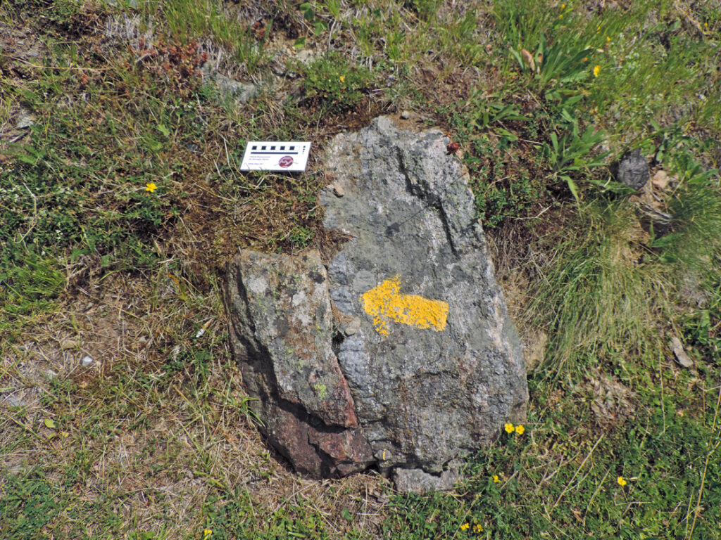 Piccolo affioramento ad inizio sentiero. Ci indica almeno due cose: 1. l'orientamento delle strutture geologiche a NE-SW; 2. l'alternanza nella roccia di bande scure (ferro-magnesiache, a sinistra) e chiare (silicee, a destra).