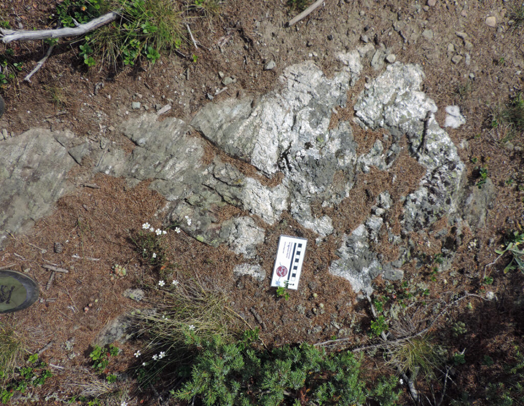 Un filone chiaro (siliceo) taglia i piani di giacitura dei minerali scuri nella roccia ospitante: si può pensare si sia intruso in tempi successivi.