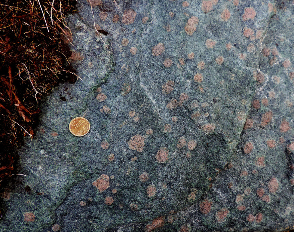 Una eclogite (glaucofanite granatifera) che affiora tra il Mont de Beuby e la Croix Courma.